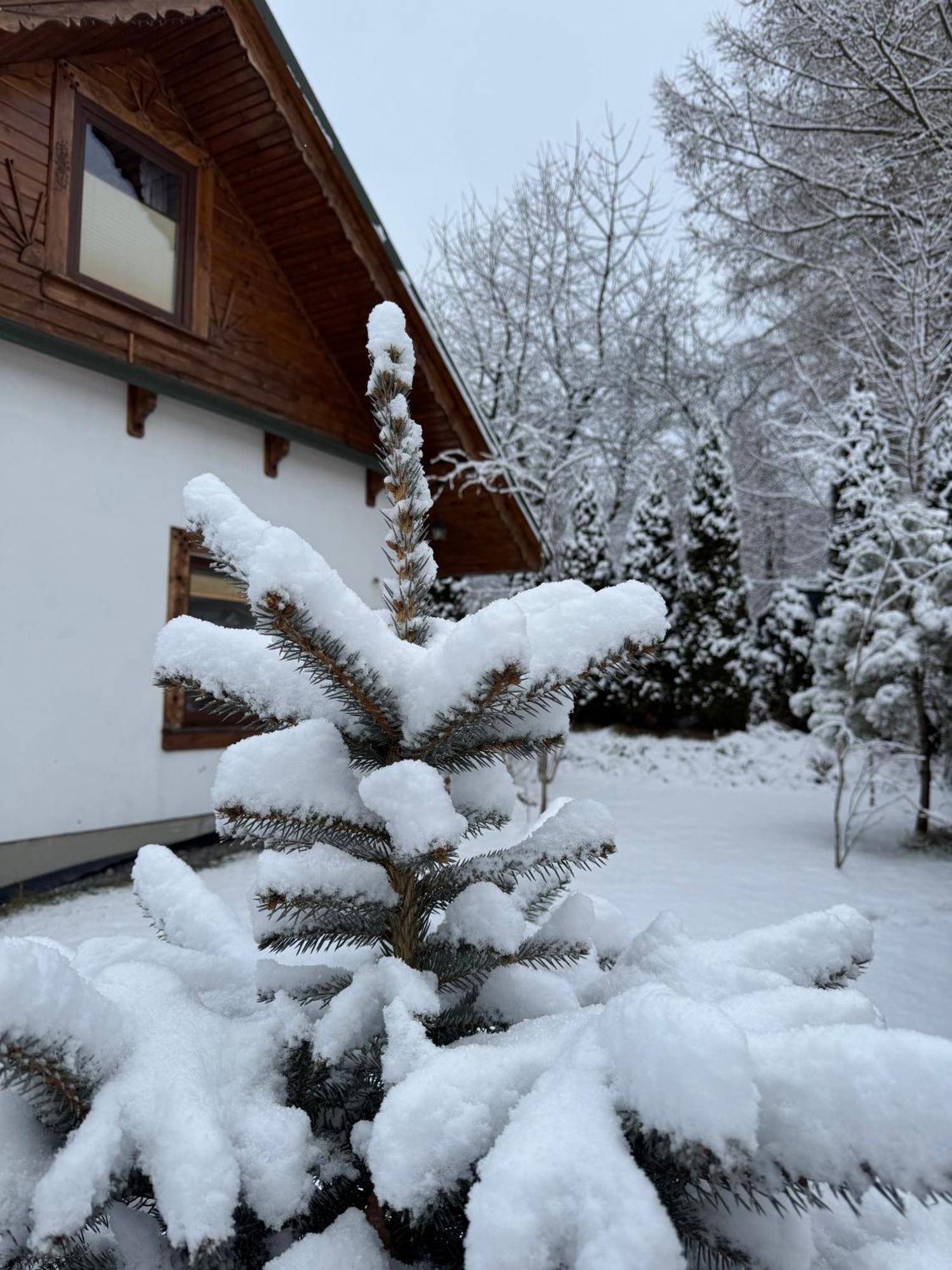 Na Szlaku - Domki Do Wynajecia Rabka Exterior foto
