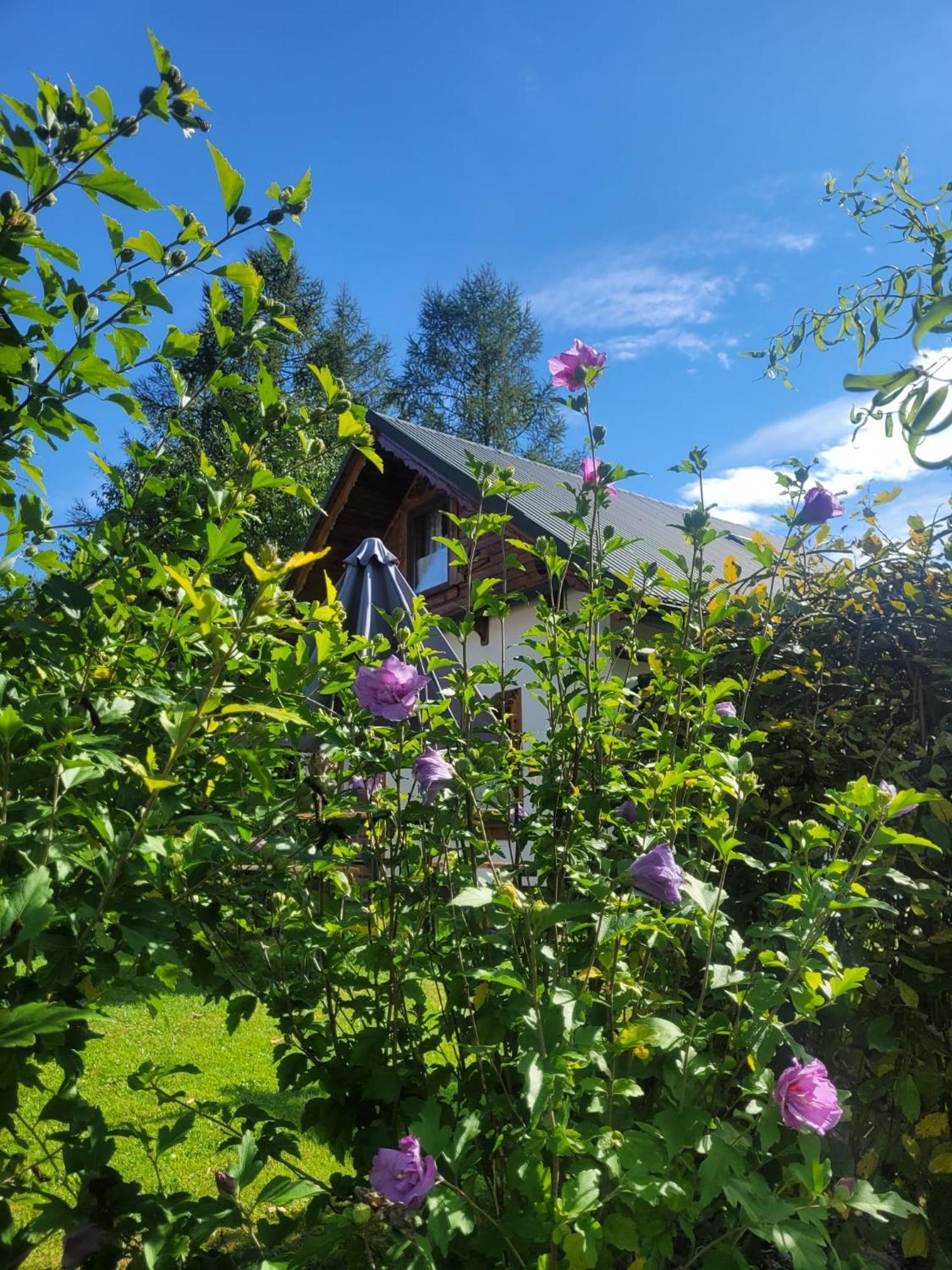 Na Szlaku - Domki Do Wynajecia Rabka Exterior foto